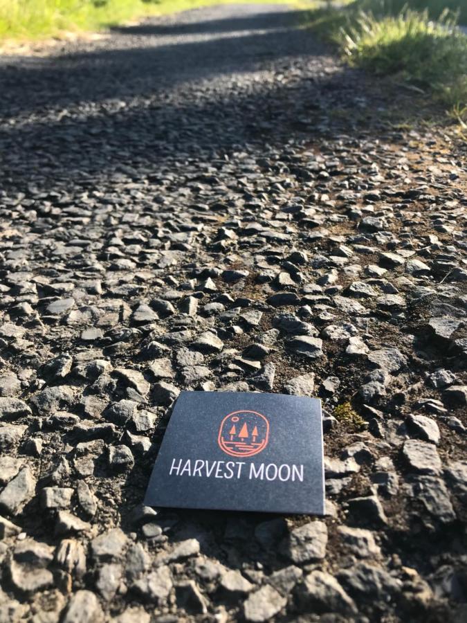 Harvest Moon Bed and Breakfast Doolin Exteriör bild
